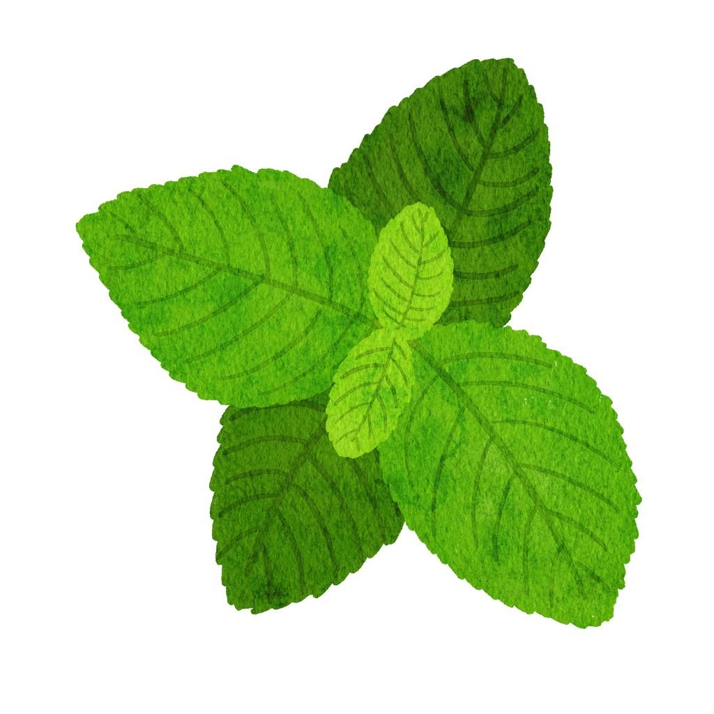 Mentol naturalny – zapewnia natychmiastowy efekt chłodzenia, szybko redukując ból i dyskomfort.