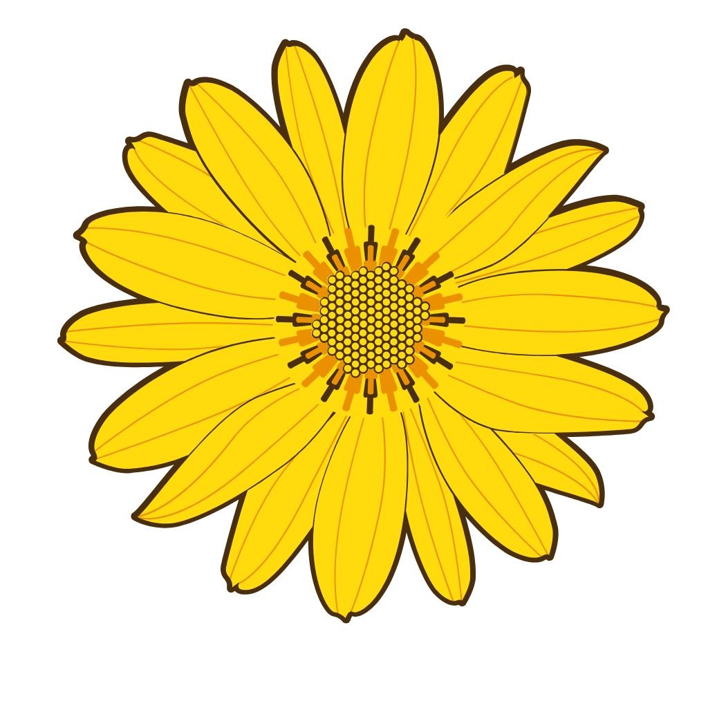 Arnika górska – wspomaga gojenie tkanek, zmniejsza obrzęki i przyspiesza regenerację po przeciążeniach.